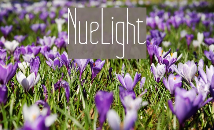 NueLight Font examples