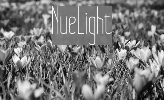NueLight Font examples