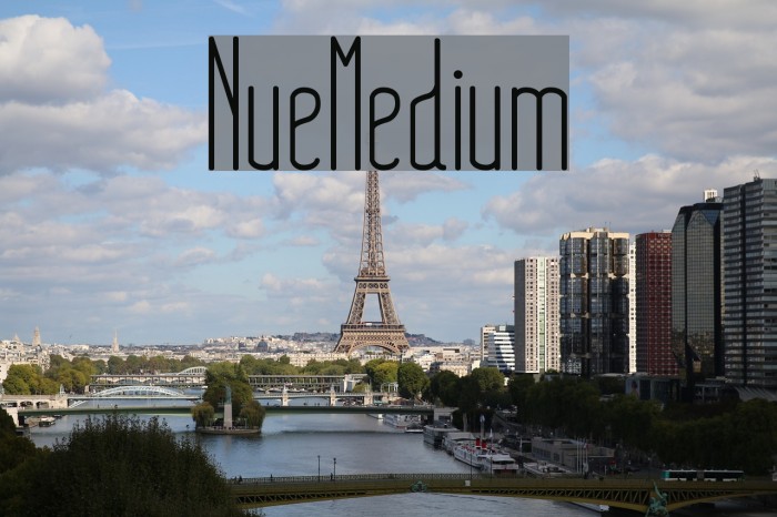 NueMedium Font examples