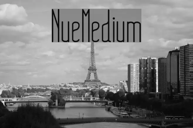 NueMedium Font examples