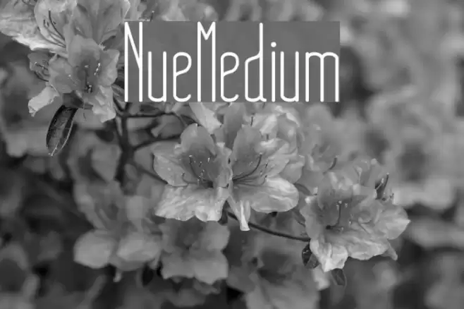 NueMedium Font examples