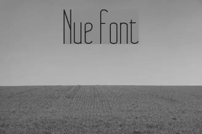 Nue Example 2