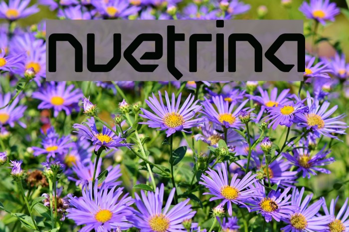Nuetrina Font examples