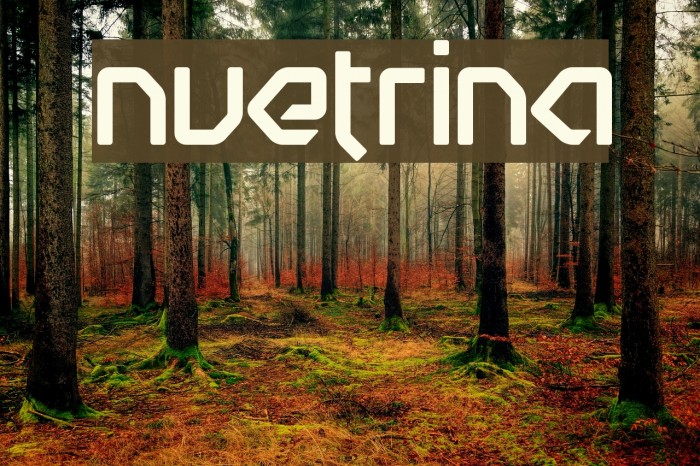 Nuetrina Font examples