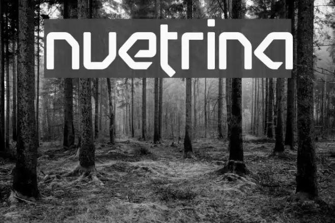 Nuetrina Example 2