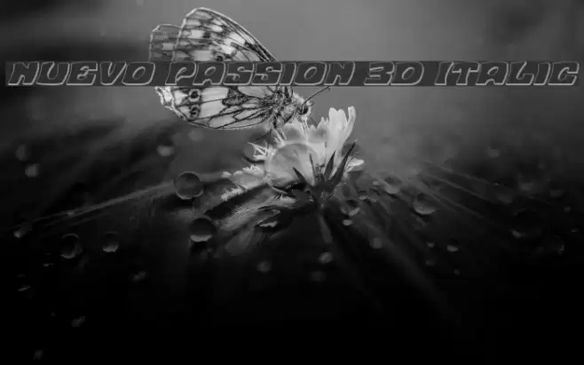 Nuevo Passion 3D Italic Font examples