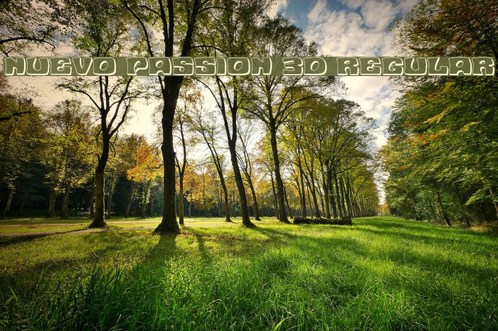 Nuevo Passion 3D Regular Example 1