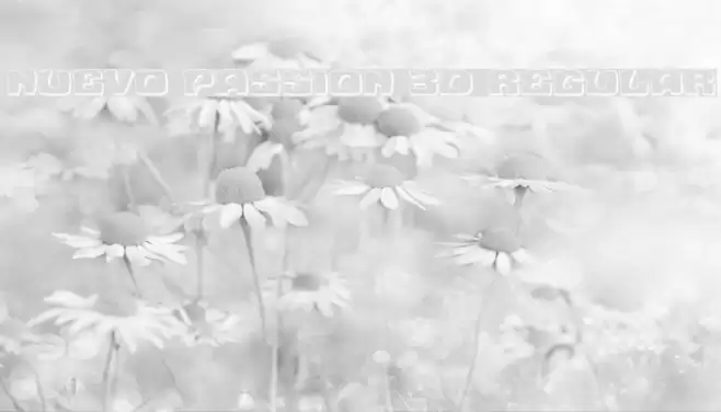 Nuevo Passion 3D Regular Font examples