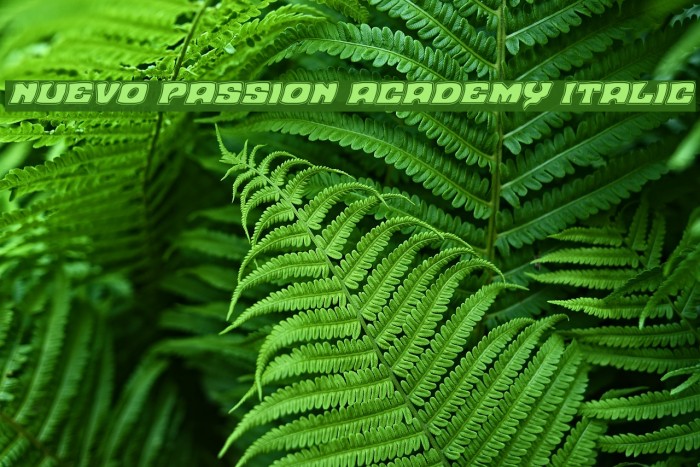 Nuevo Passion Academy Italic Example 3