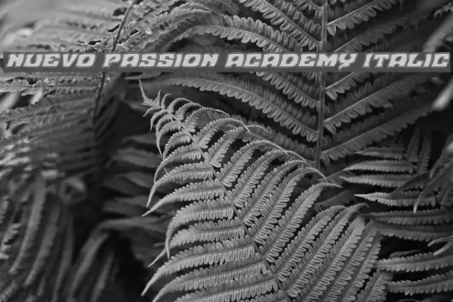 Nuevo Passion Academy Italic Font examples