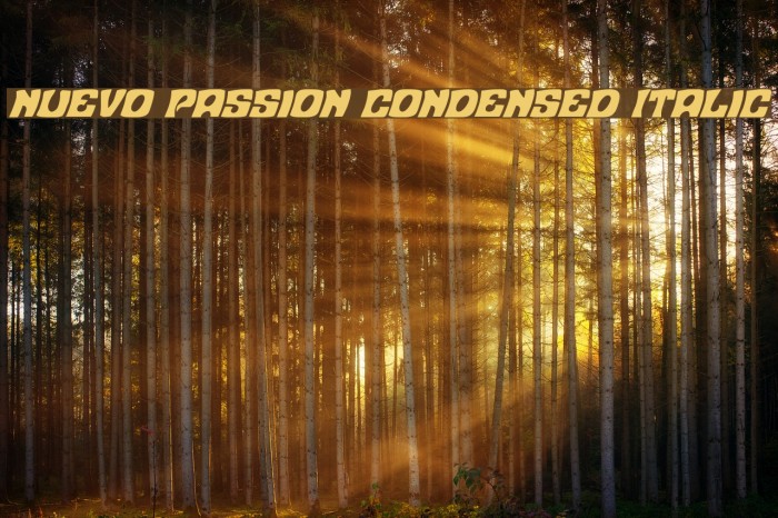 Nuevo Passion Condensed Italic Font examples