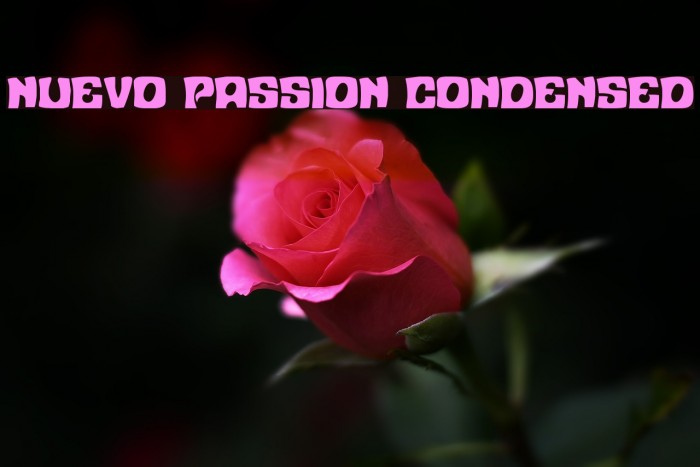 Nuevo Passion Condensed Example 2