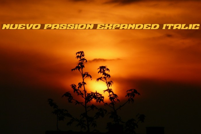 Nuevo Passion Expanded Italic Font examples