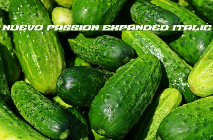 Nuevo Passion Expanded Italic Font examples