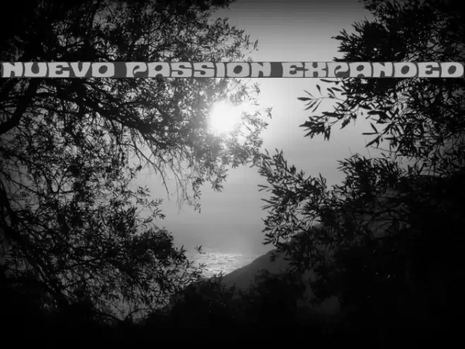Nuevo Passion Expanded Font examples