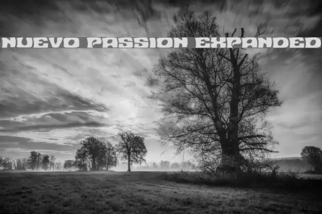 Nuevo Passion Expanded Font examples