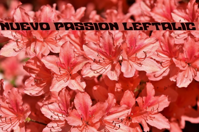Nuevo Passion Leftalic Font examples