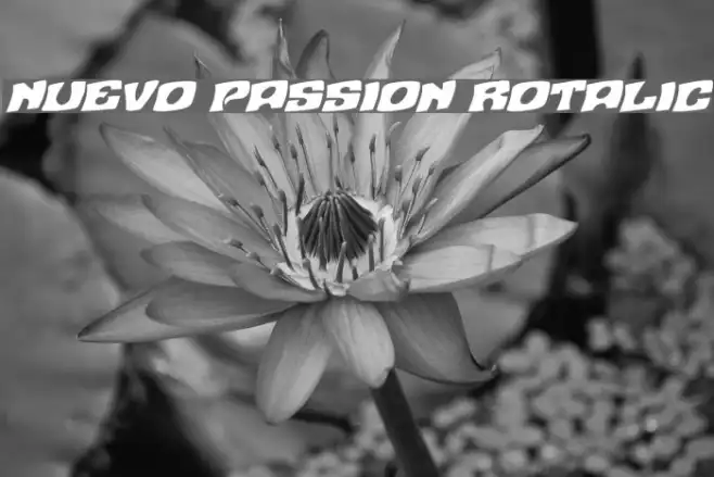 Nuevo Passion Rotalic Example 1