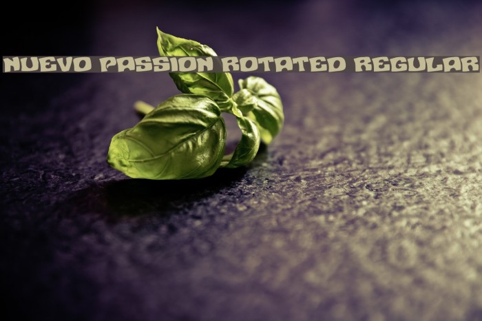 Nuevo Passion Rotated Regular Font examples