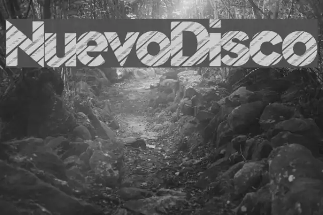NuevoDisco Example 1