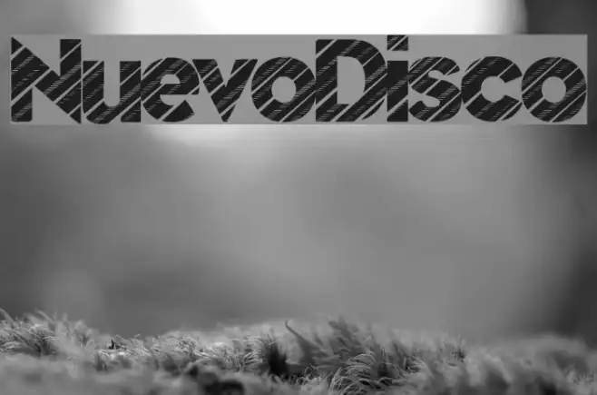 NuevoDisco Example 3