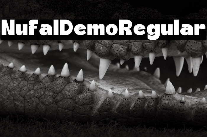 Nufal Demo Regular Example 3