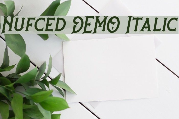 Nufced DEMO Italic Font examples