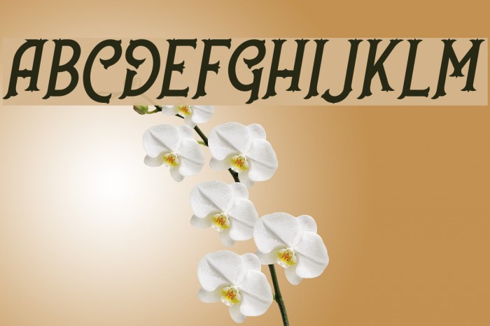 NufcedDEMO-Italic Example 1