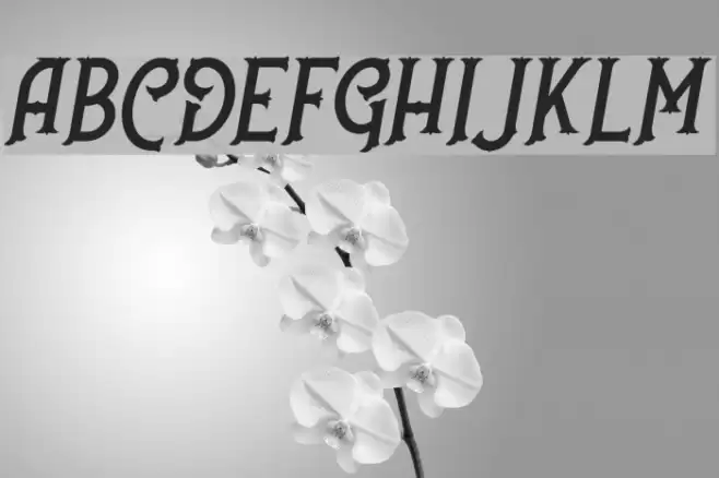 NufcedDEMO-Italic Font examples