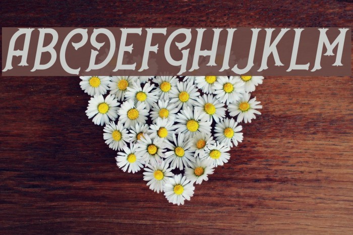 NufcedDEMO-Italic Example 2