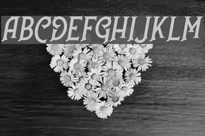 NufcedDEMO-Italic Font examples