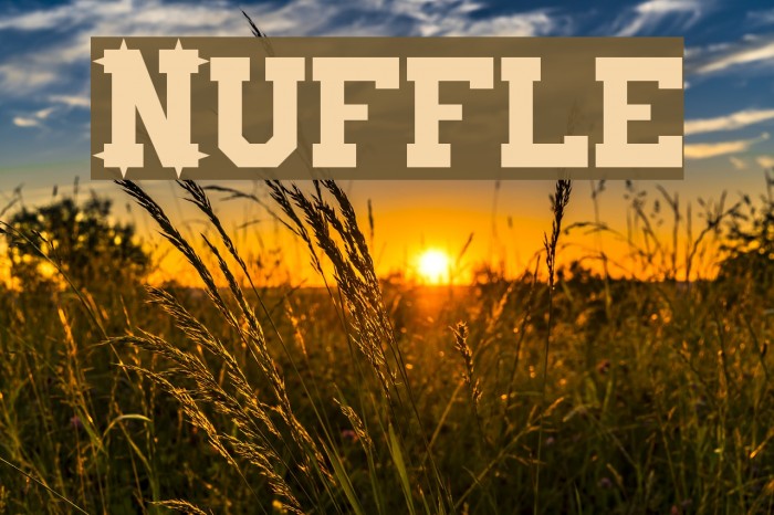 Nuffle Font examples