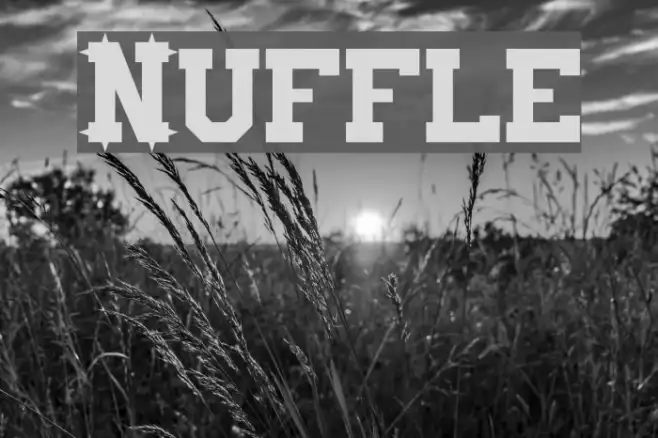 Nuffle Example 1