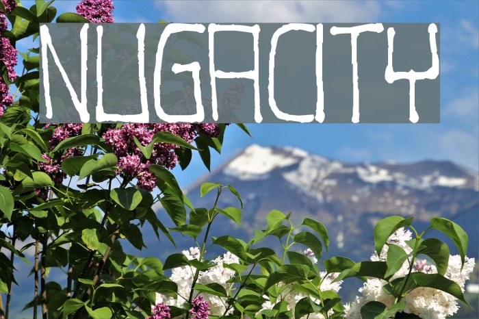 Nugacity Polices examples