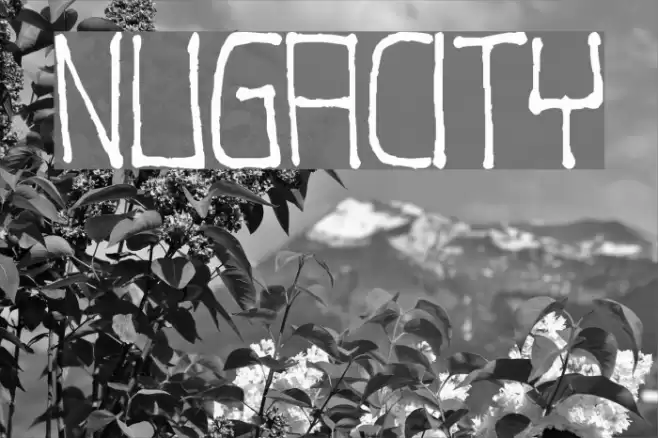 Nugacity Polices examples