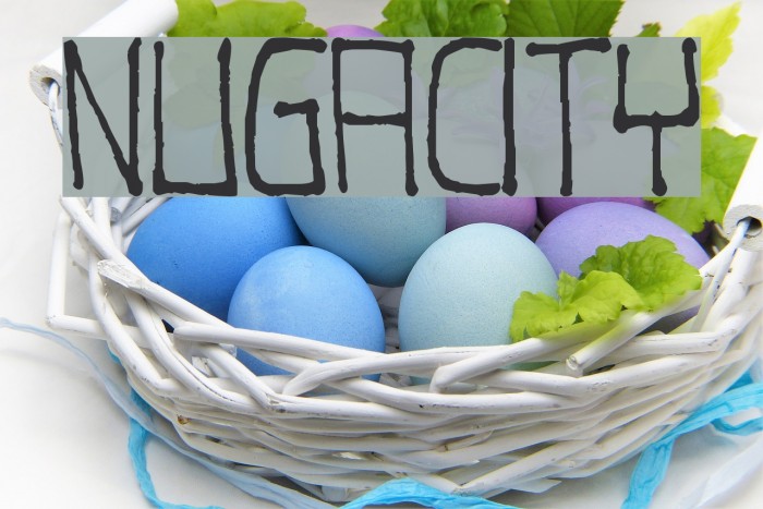 Nugacity Polices examples
