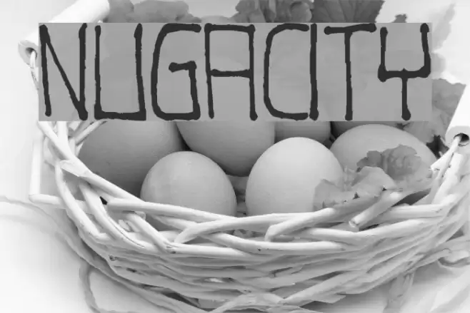 Nugacity Polices examples