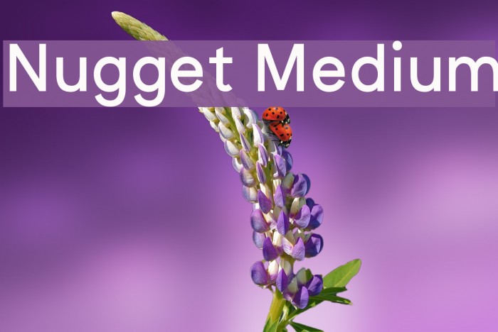 Nugget Medium Font examples