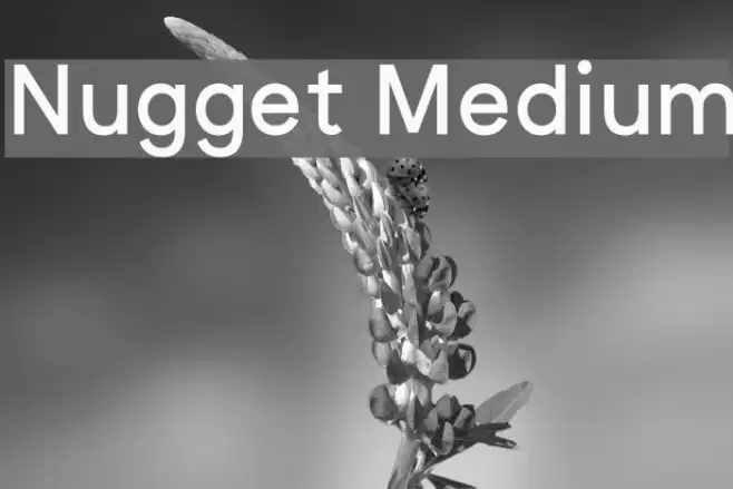 Nugget Medium Example 1