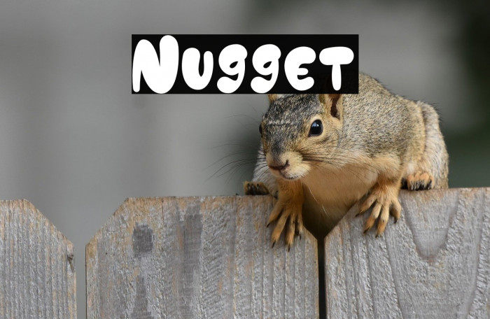 Nugget Example 2