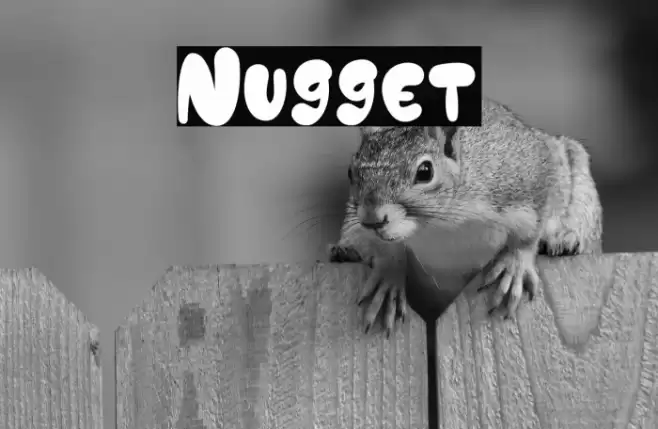 Nugget Polices examples