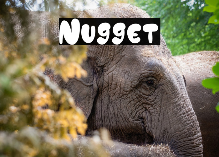 Nugget Example 3