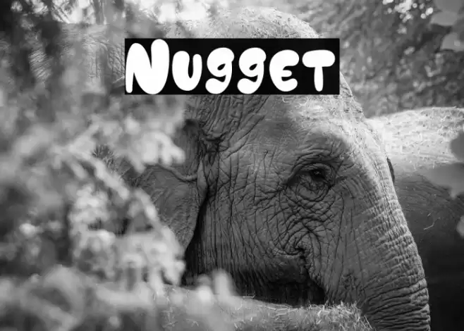 Nugget Polices examples