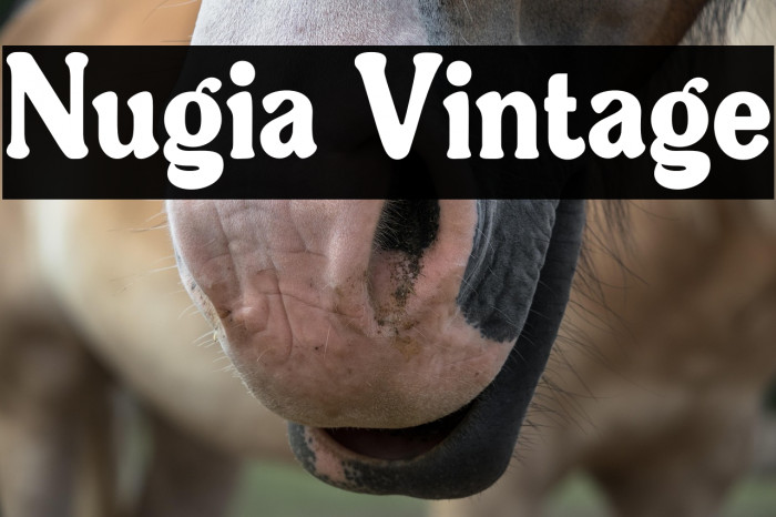 Nugia Vintage Example 1