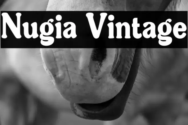 Nugia Vintage Font examples