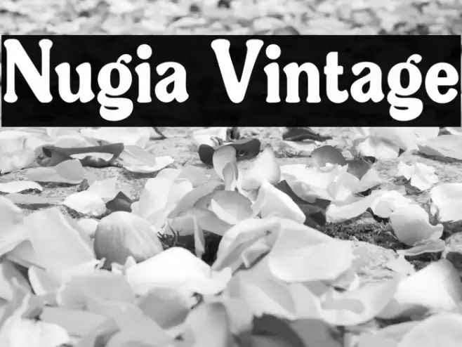 Nugia Vintage Font examples