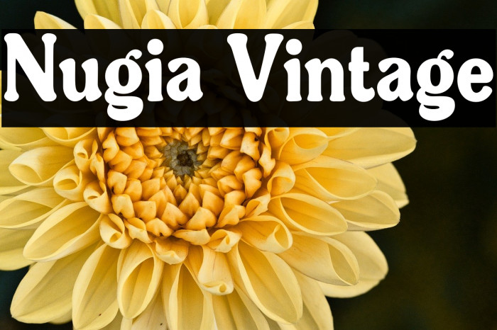 Nugia Vintage Example 3