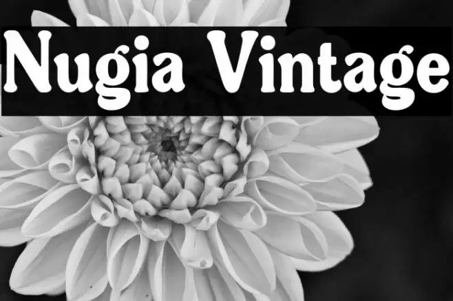 Nugia Vintage Font examples