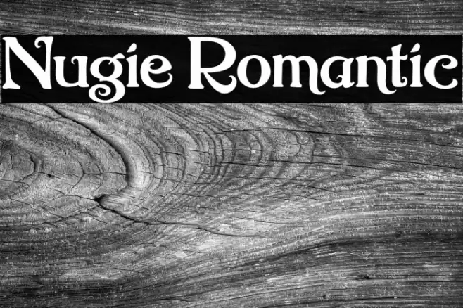 Nugie Romantic Font examples