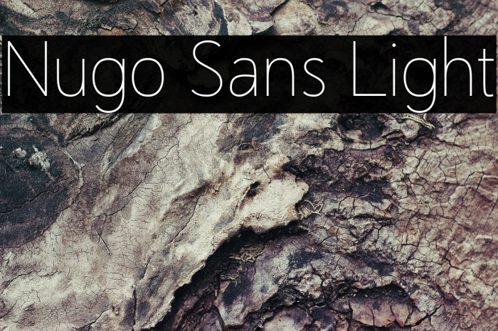 Nugo Sans Light Example 1